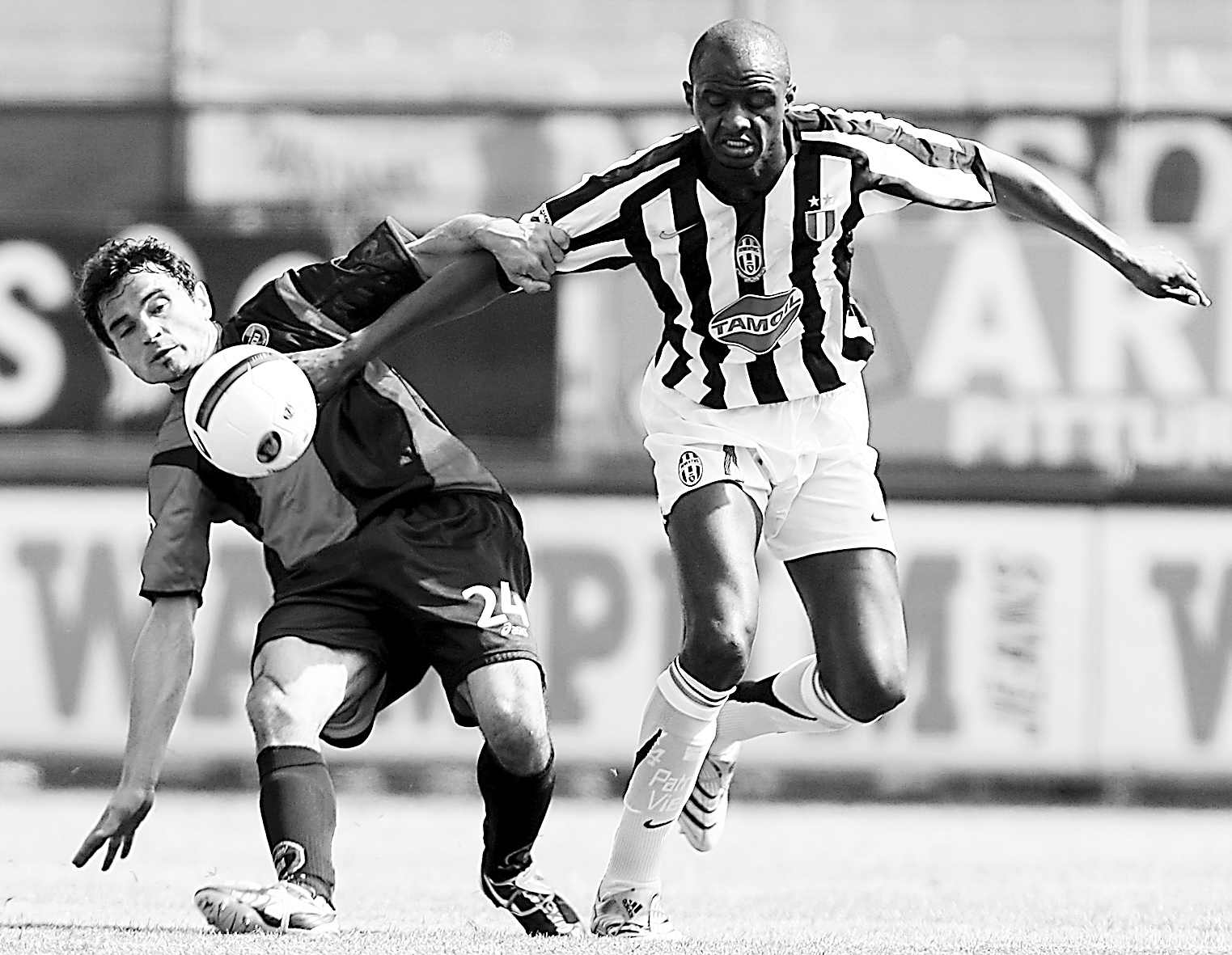 稳定夺冠 稳定夺冠